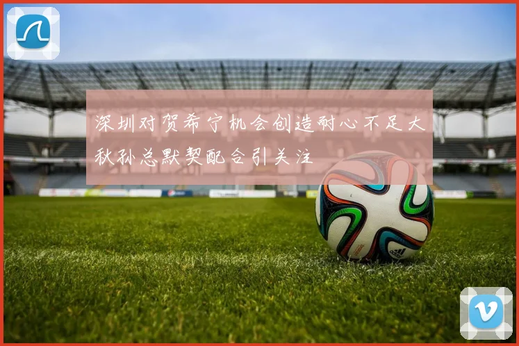 深圳对贺希宁机会创造耐心不足大秋孙总默契配合引关注